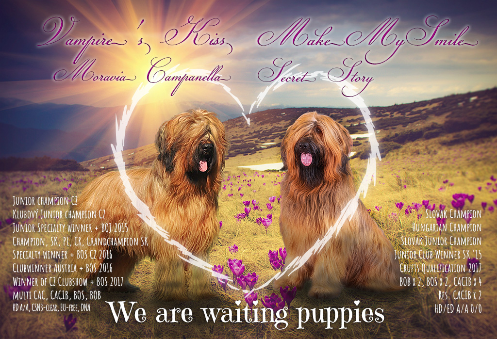 We are waiting puppies