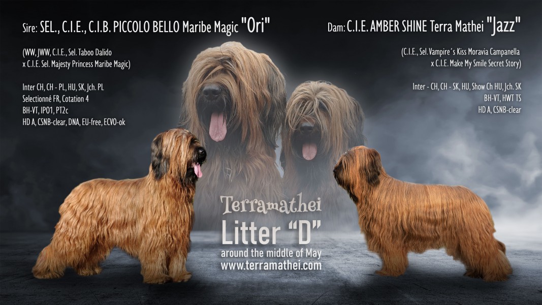 We are expecting Briard puppies around the middle of May 2022.